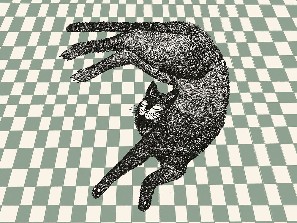 Sleeping Cat III art print by Kasia Walentynowicz for $57.95 CAD