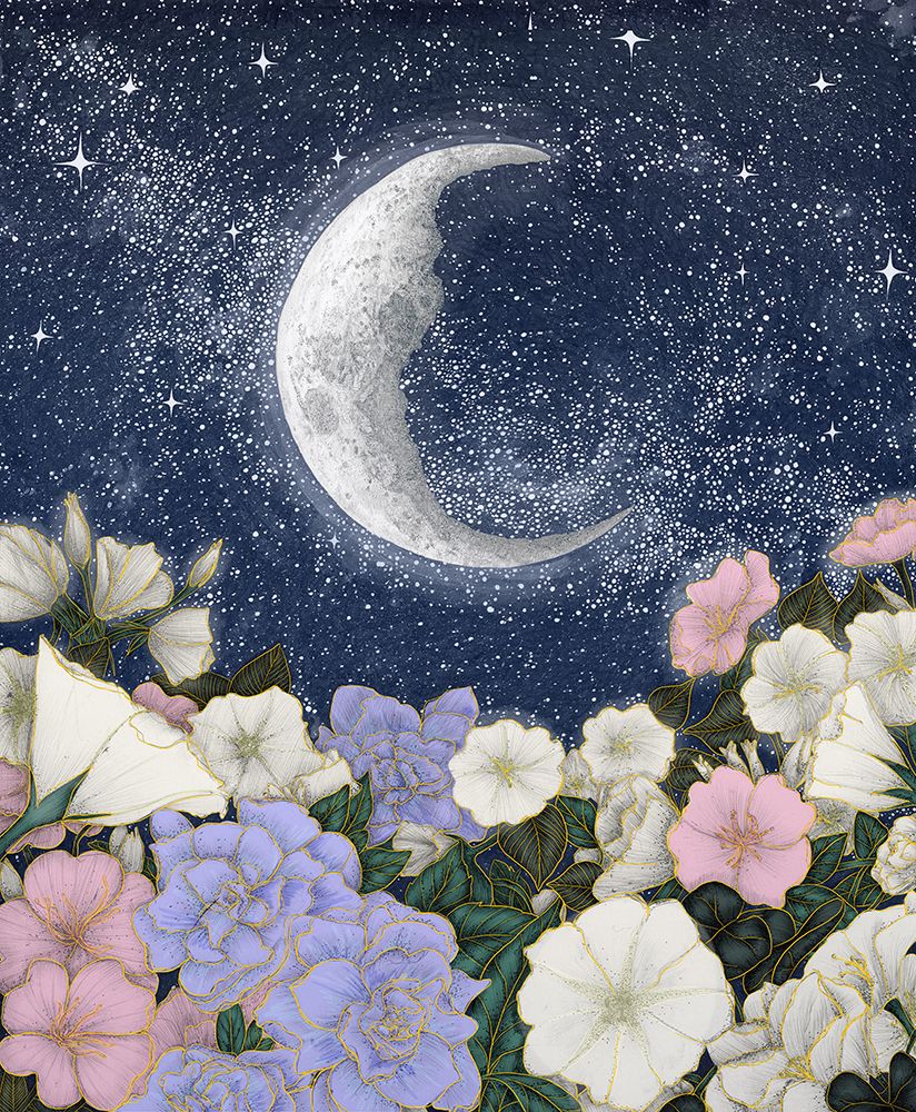 Moonlight In the Garden Colour Large art print by EC Mazur for $57.95 CAD