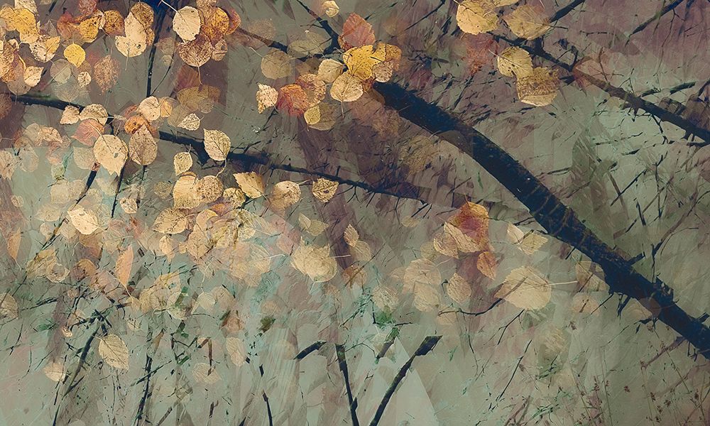 Tomorrow art print by Nel Talen for $57.95 CAD