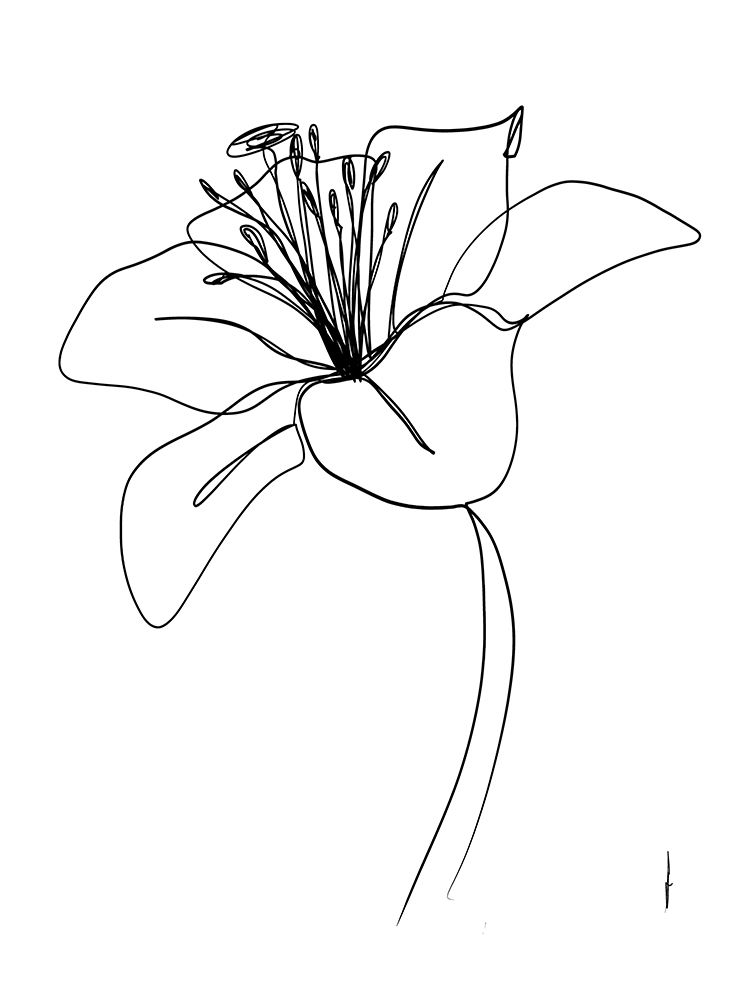 LILY art print by Ankie Kooi for $57.95 CAD