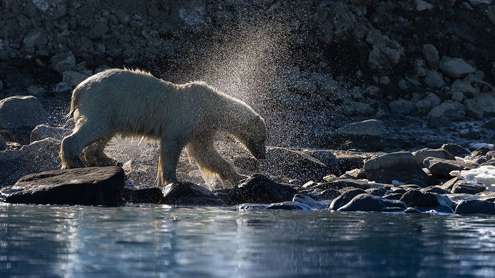 The Shake .. Svalbard fjords art print by Shobhit Chawla for $57.95 CAD