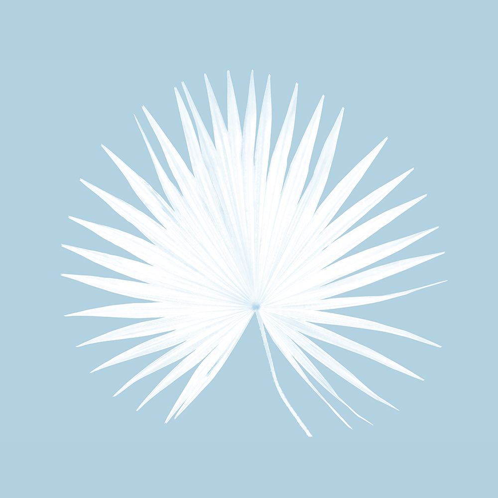 Tropical Blue 1 art print by Kathrin Pienaar for $57.95 CAD