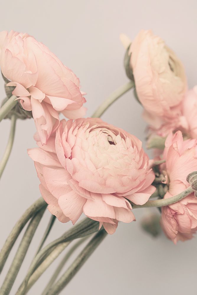 1644 art print by Kathrin Pienaar for $57.95 CAD