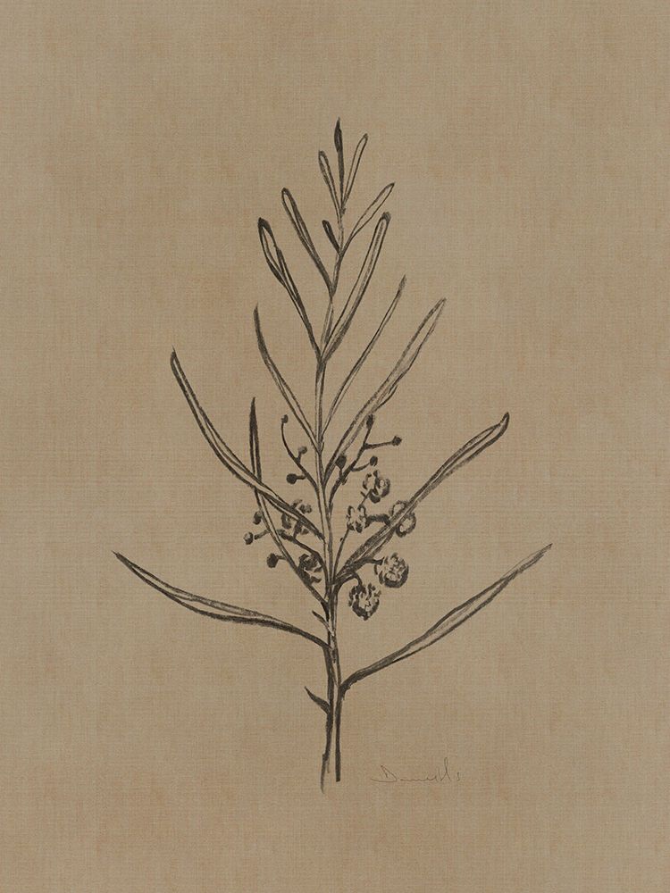 Blackwood Sapling art print by Dan Hobday for $57.95 CAD