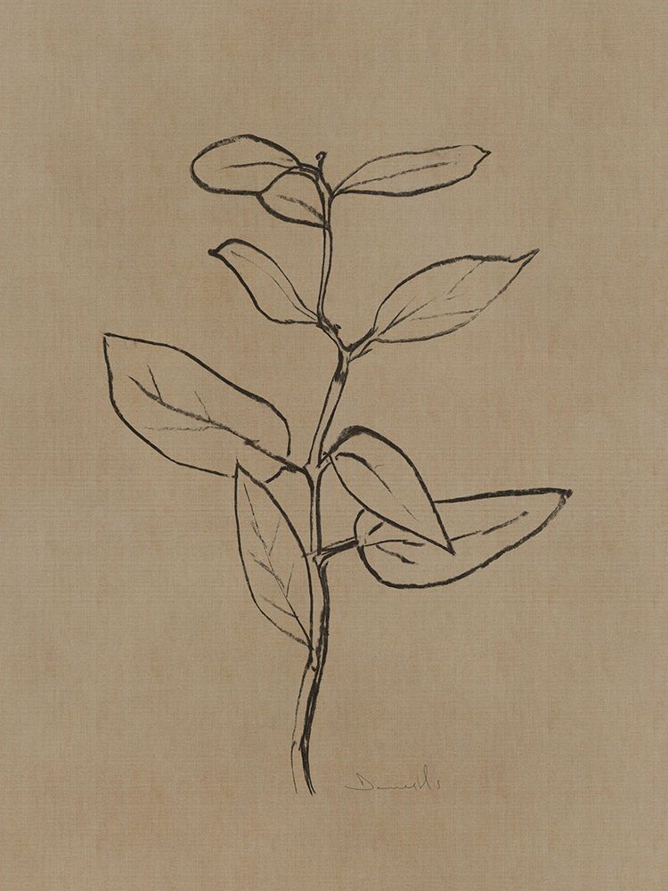 Eucalyptus Sapling art print by Dan Hobday for $57.95 CAD
