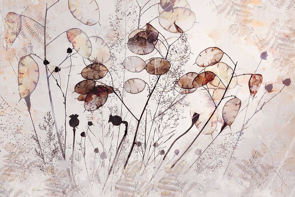 Seeds and more art print by Nel Talen for $57.95 CAD