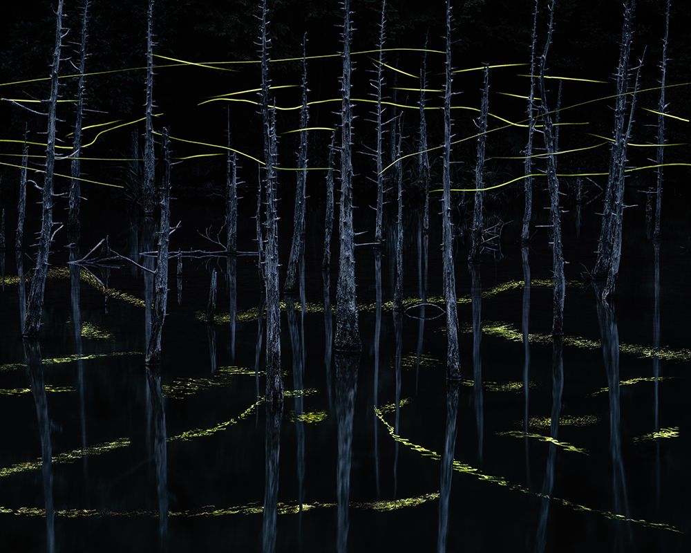 Traces of light art print by Ryohei Irie for $57.95 CAD