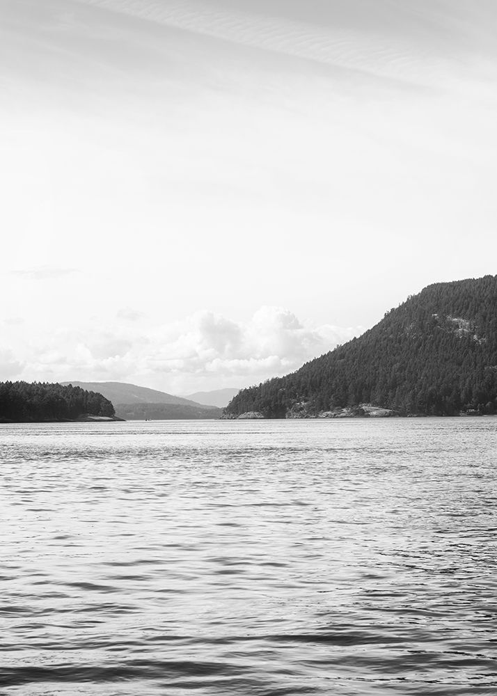 Galiano art print by Lynann Colligan for $57.95 CAD