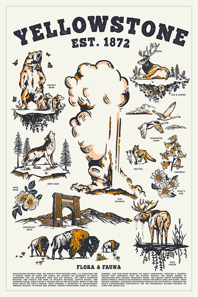 Yellowstone National Park Wyoming Flora a Fauna art print by The Whiskey Ginger for $57.95 CAD