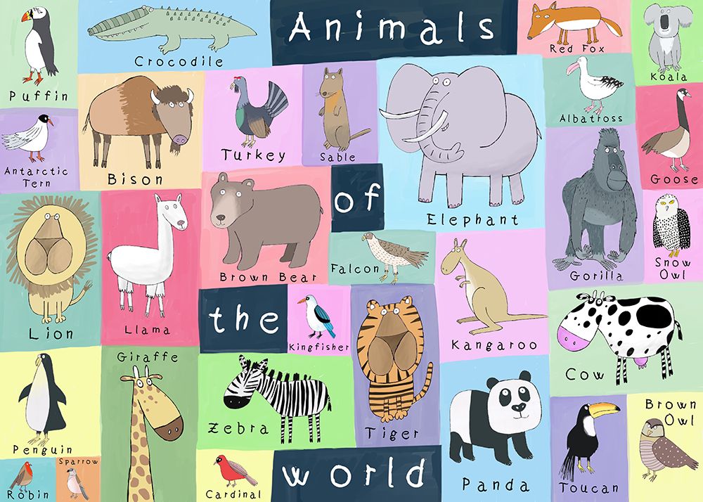 Animals of the World Illustration by Artist Carla Daly art print by Carla Daly for $57.95 CAD