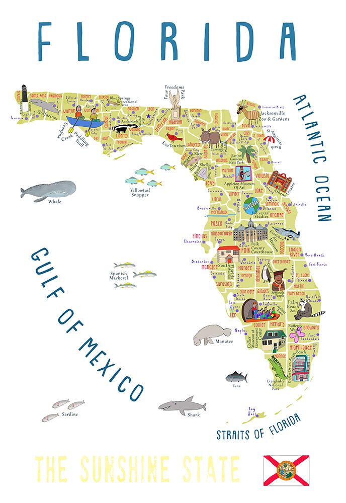 Illustrated Map of Florida by Artist Carla Daly art print by Carla Daly for $57.95 CAD