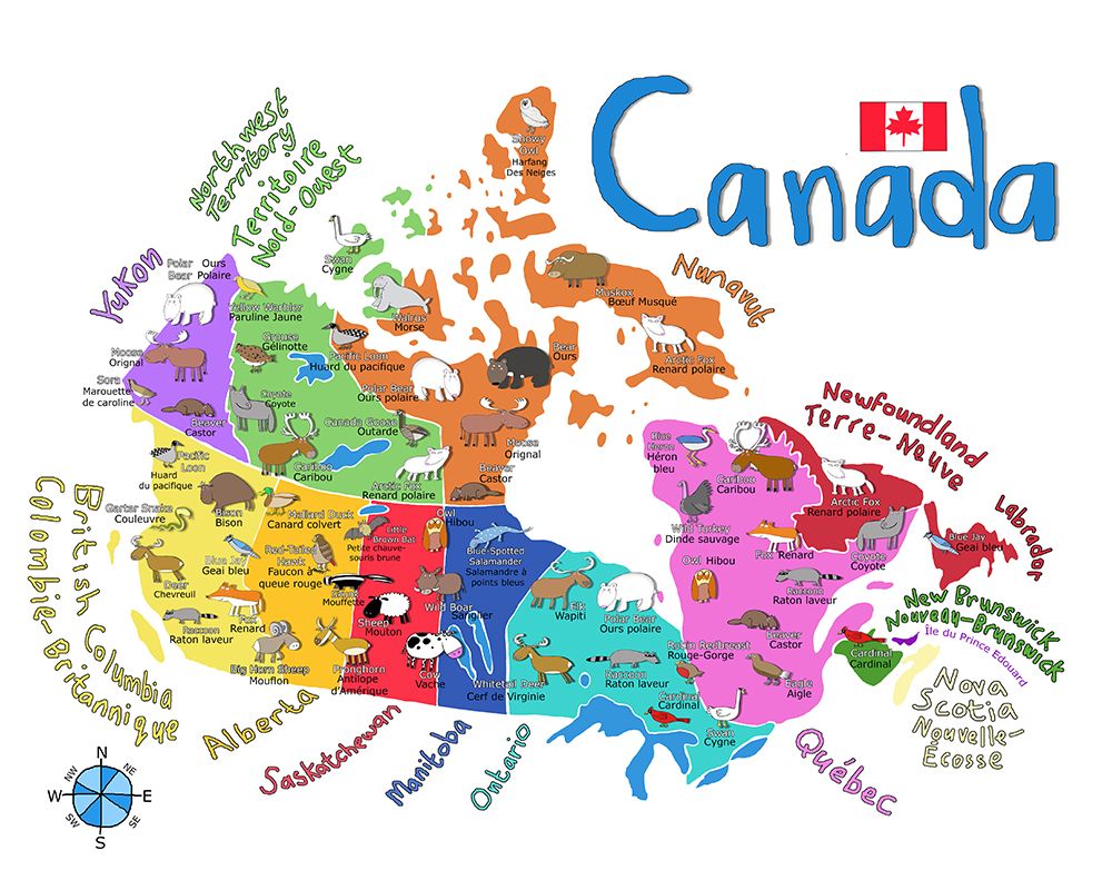 Illustrated Map of Canada with Animals by Carla Daly art print by Carla Daly for $57.95 CAD