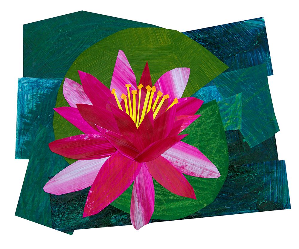 Flowering Lily art print by Shelley Hampe for $57.95 CAD