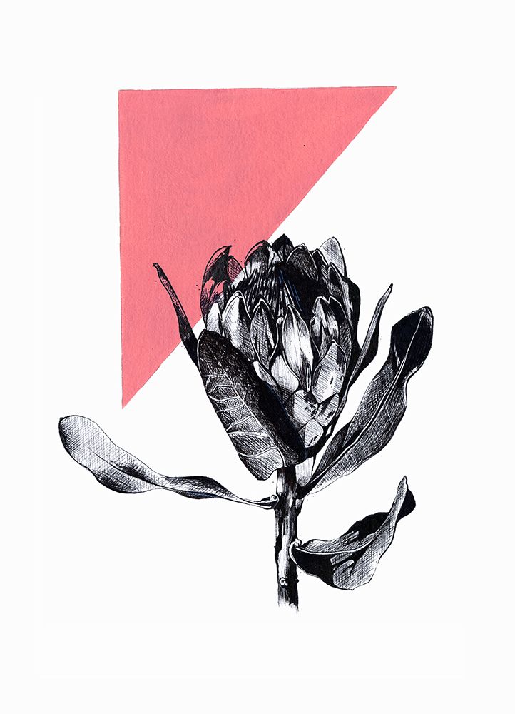 Protea Geo art print by Roxanne Moolman for $57.95 CAD