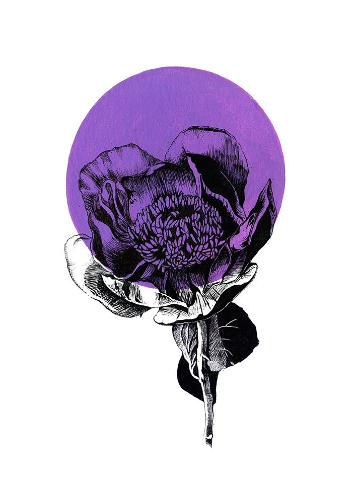 Peony Geo art print by Roxanne Moolman for $57.95 CAD