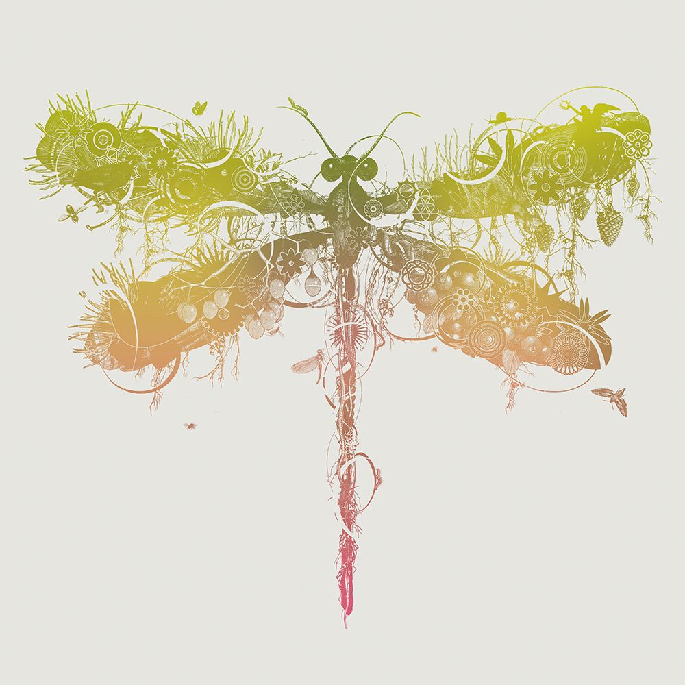 Dragonfly art print by Jaco Putker for $57.95 CAD