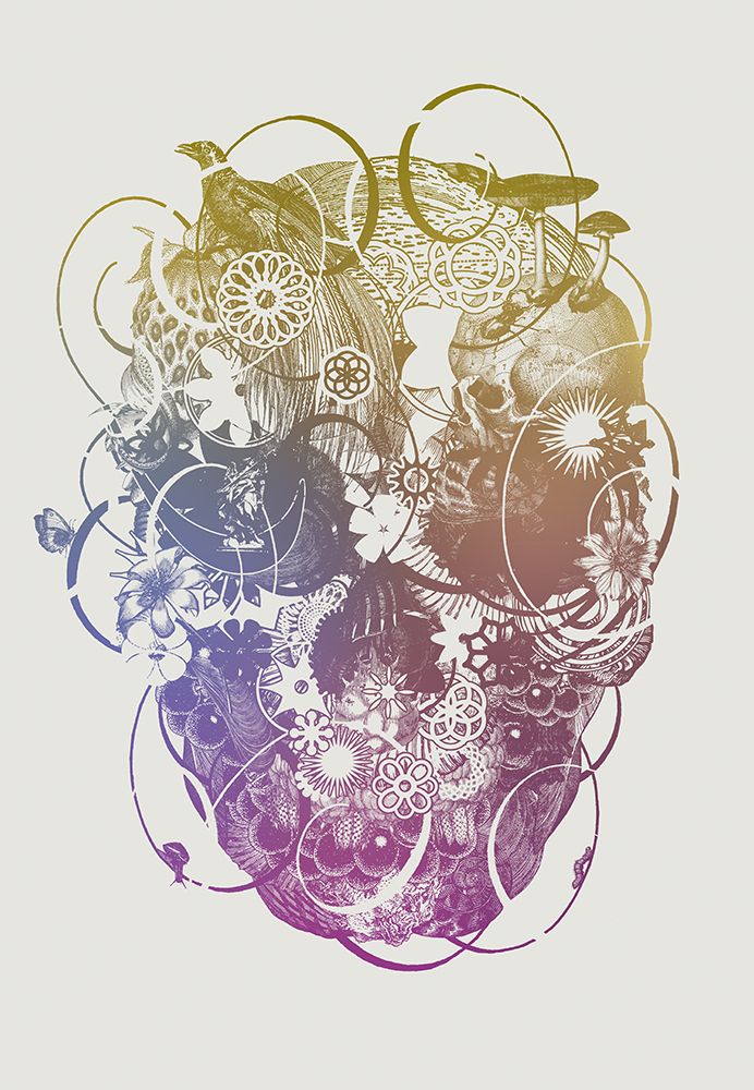 Skull art print by Jaco Putker for $57.95 CAD