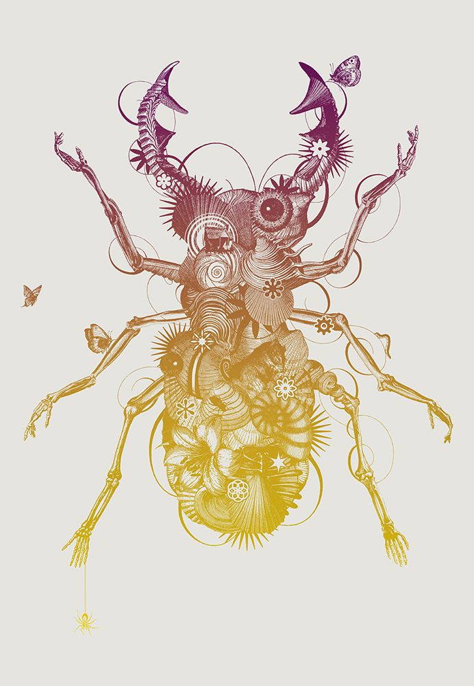 Stagbeetle art print by Jaco Putker for $57.95 CAD