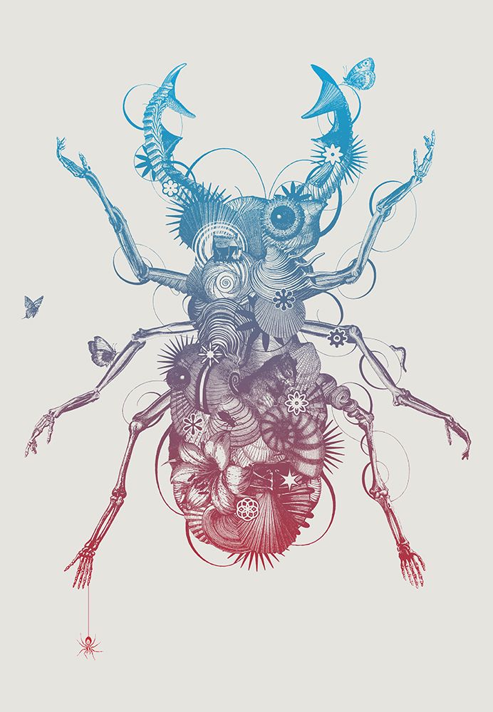 Stagbeetle art print by Jaco Putker for $57.95 CAD