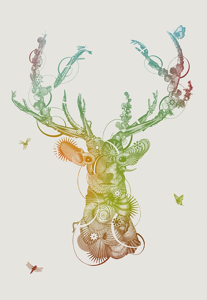 Deerhead art print by Jaco Putker for $57.95 CAD