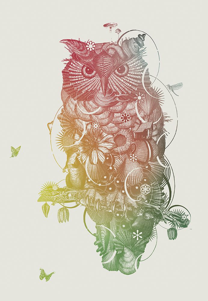 Owl art print by Jaco Putker for $57.95 CAD