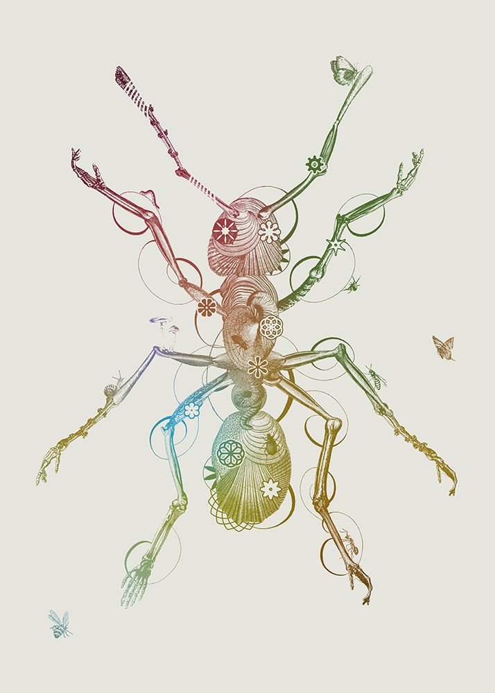 Ant art print by Jaco Putker for $57.95 CAD