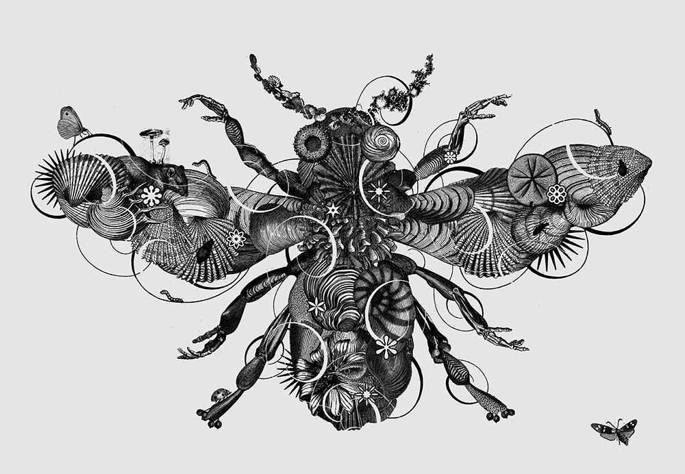 Bee - black and white art print by Jaco Putker for $57.95 CAD