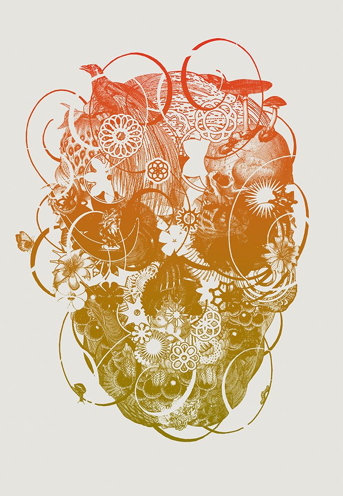 Skull art print by Jaco Putker for $57.95 CAD