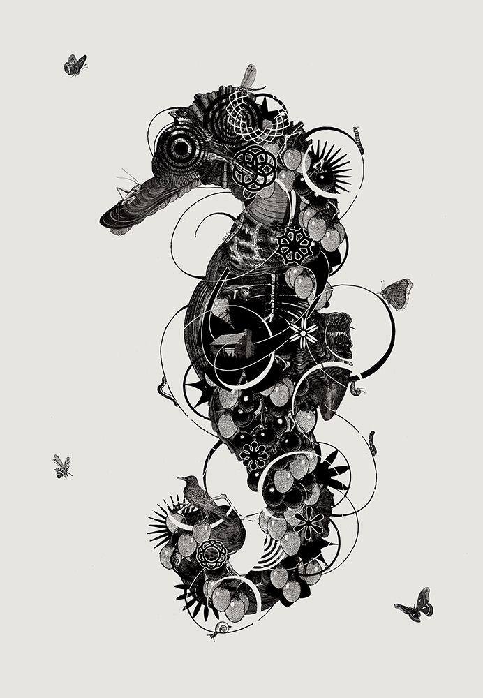 Seahorse art print by Jaco Putker for $57.95 CAD