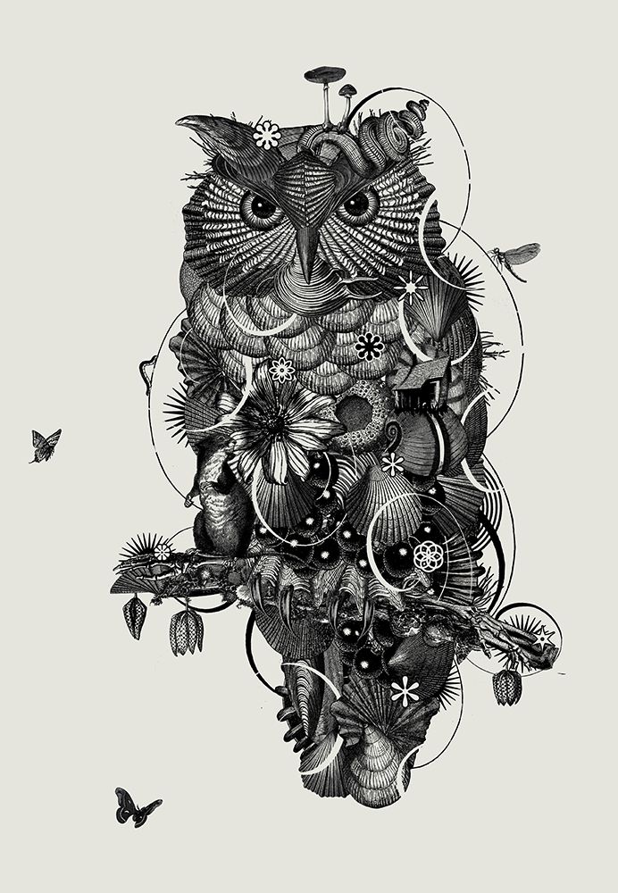 Owl art print by Jaco Putker for $57.95 CAD