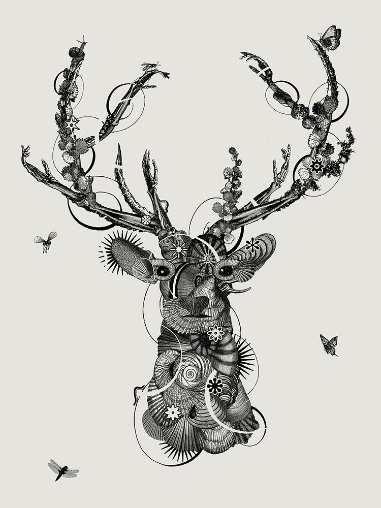 Deerhead art print by Jaco Putker for $57.95 CAD