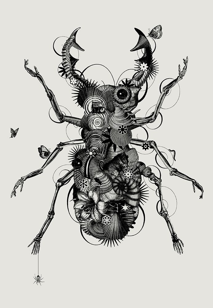 Stagbeetle art print by Jaco Putker for $57.95 CAD