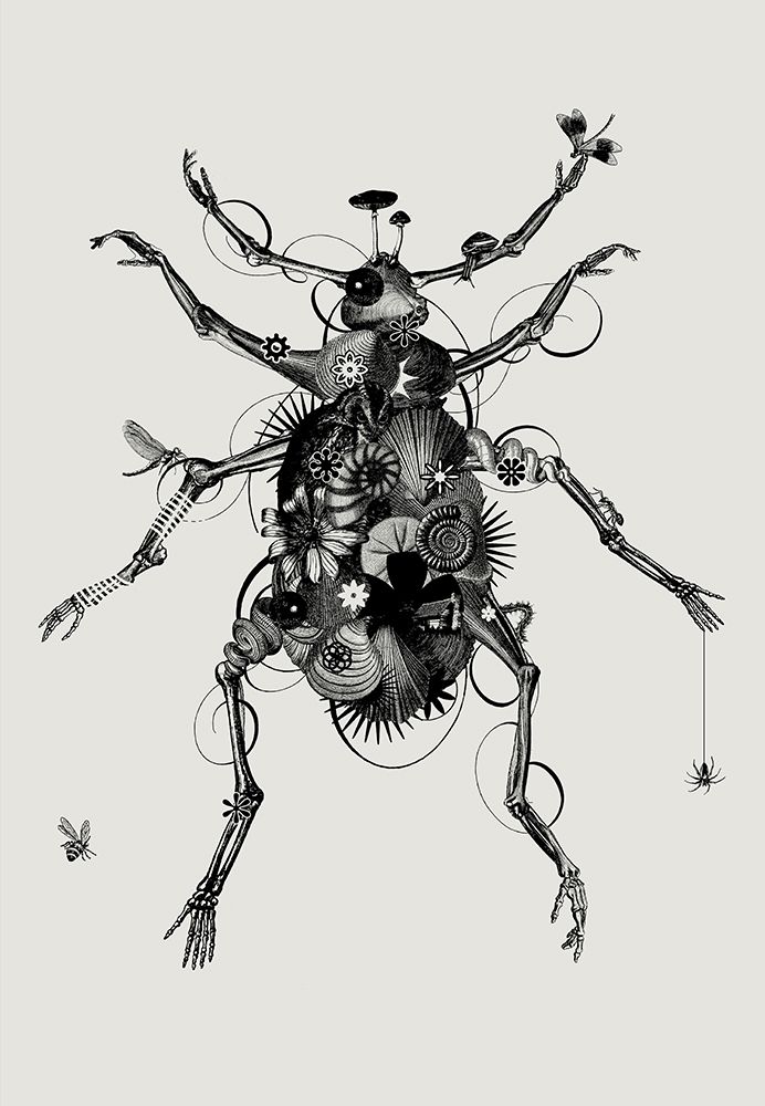 Beetle 1 art print by Jaco Putker for $57.95 CAD