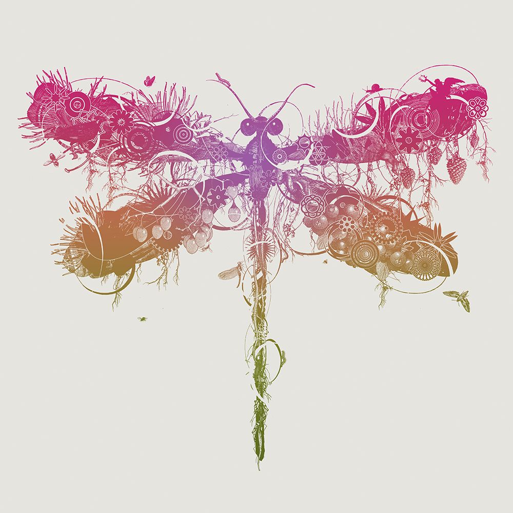 Dragonfly art print by Jaco Putker for $57.95 CAD