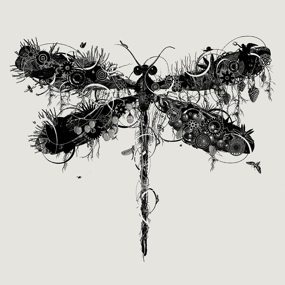 Dragonfly art print by Jaco Putker for $57.95 CAD