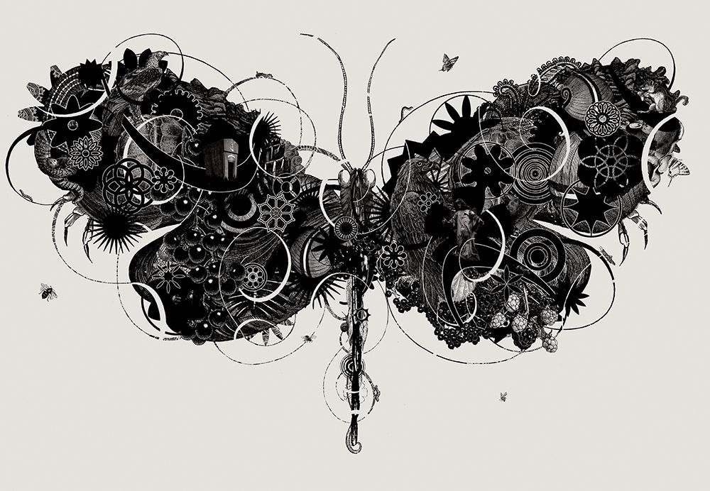 Butterfly 4 art print by Jaco Putker for $57.95 CAD