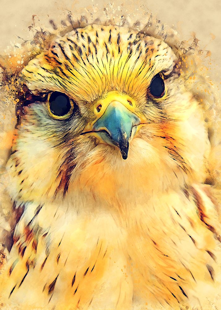 Animal Falcon Watercolor Animal Art art print by Justyna Jaszke for $57.95 CAD