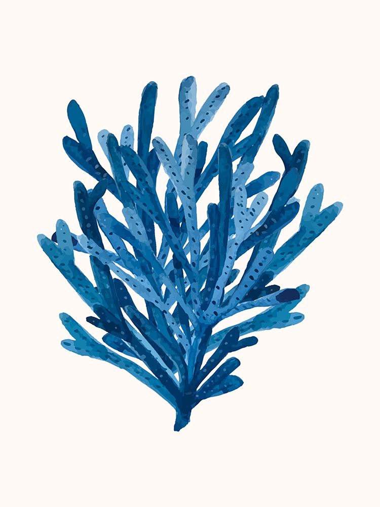 Coral art print by Elizabeth C for $57.95 CAD