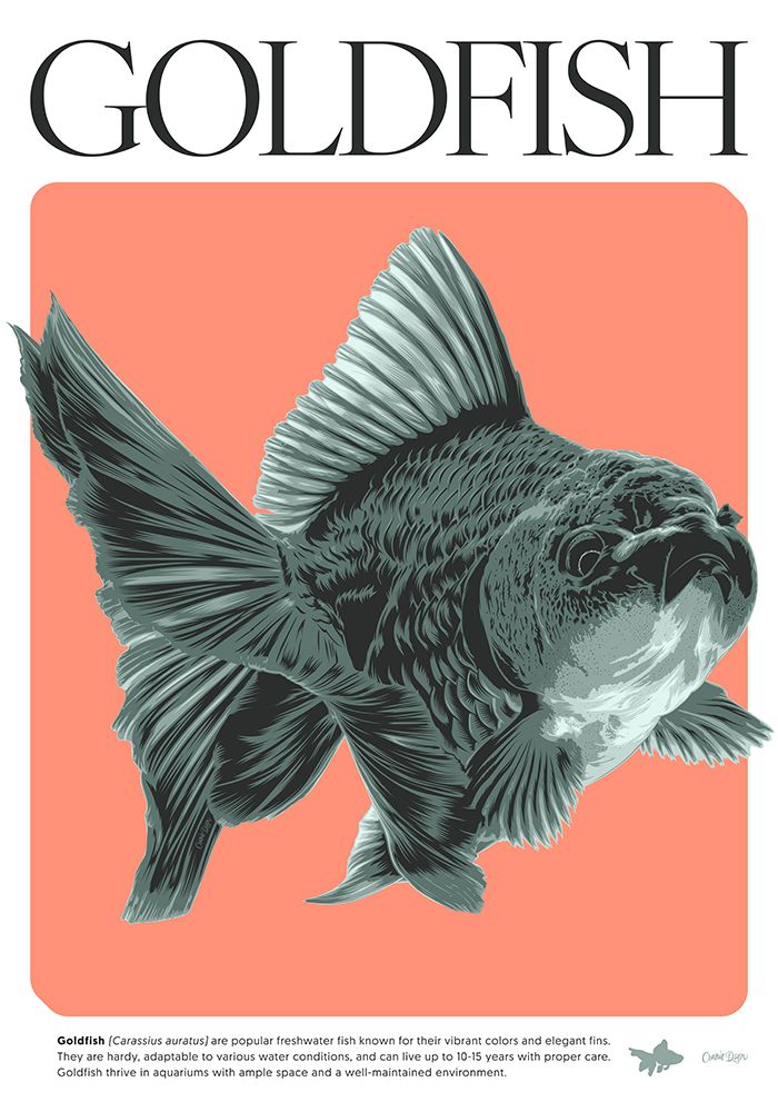 GOLDFISH art print by Cranio Design for $57.95 CAD