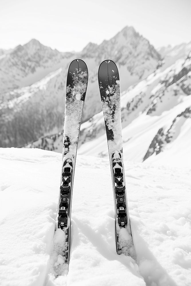 Ski Snow Alps Black and White art print by Pictufy for $57.95 CAD