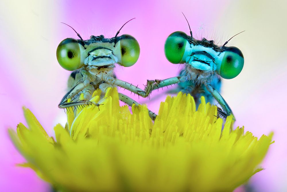 Take my hand art print by Alberto Ghizzi Panizza for $57.95 CAD