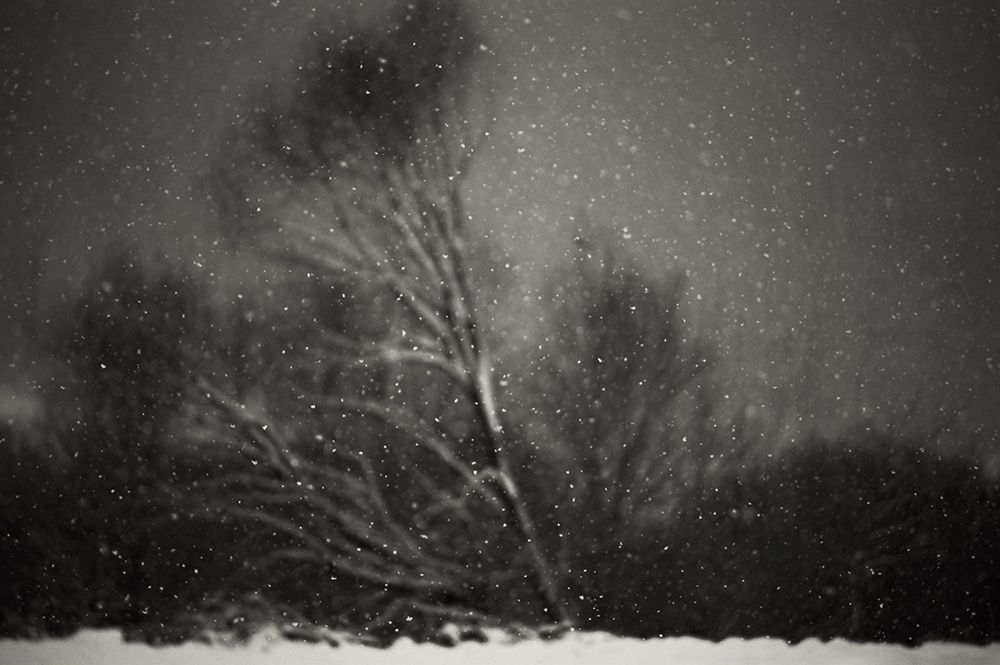 Winter art print by PhotoCosma for $57.95 CAD