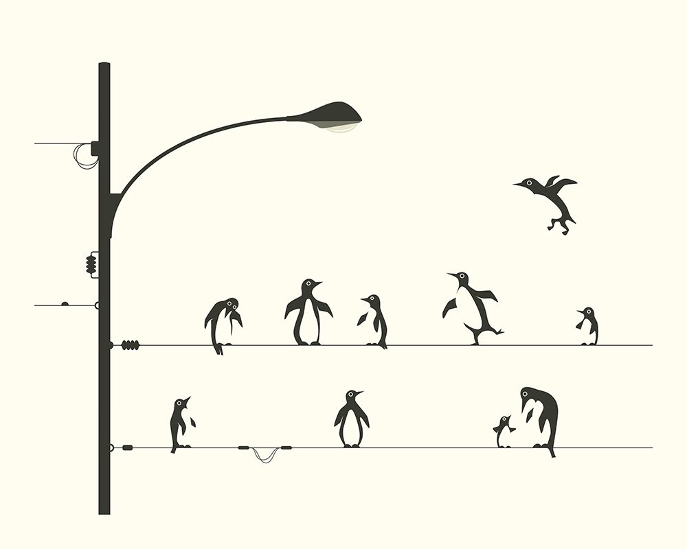 Penguins On A Wire art print by Jazzberry Blue for $57.95 CAD