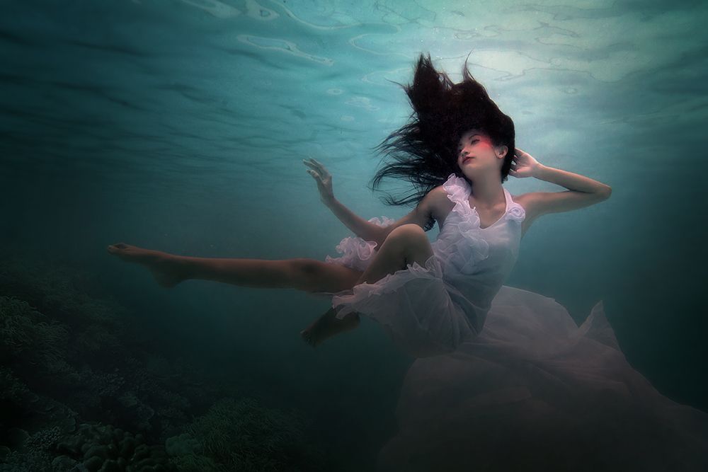 Beneath The Sea art print by Martha Suherman for $57.95 CAD