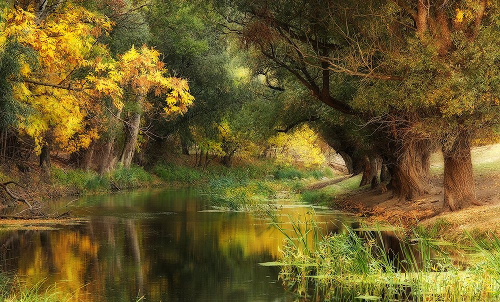 Dressed in Autumn art print by Leicher Oliver for $57.95 CAD