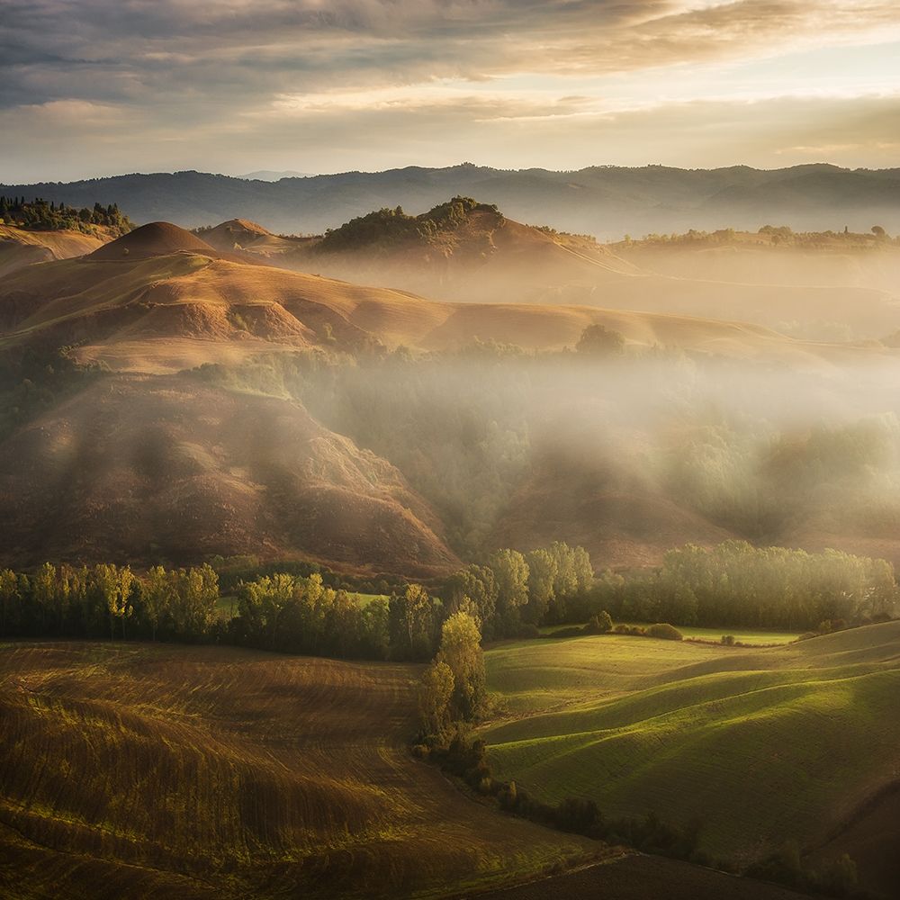 Mystical Waving Fields Tuscany art print by Jarek Pawlak for $57.95 CAD