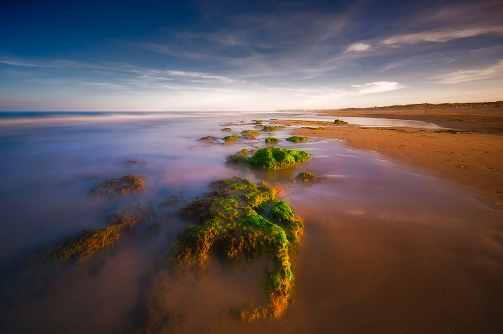 seaside art print by Piotr Krol for $57.95 CAD