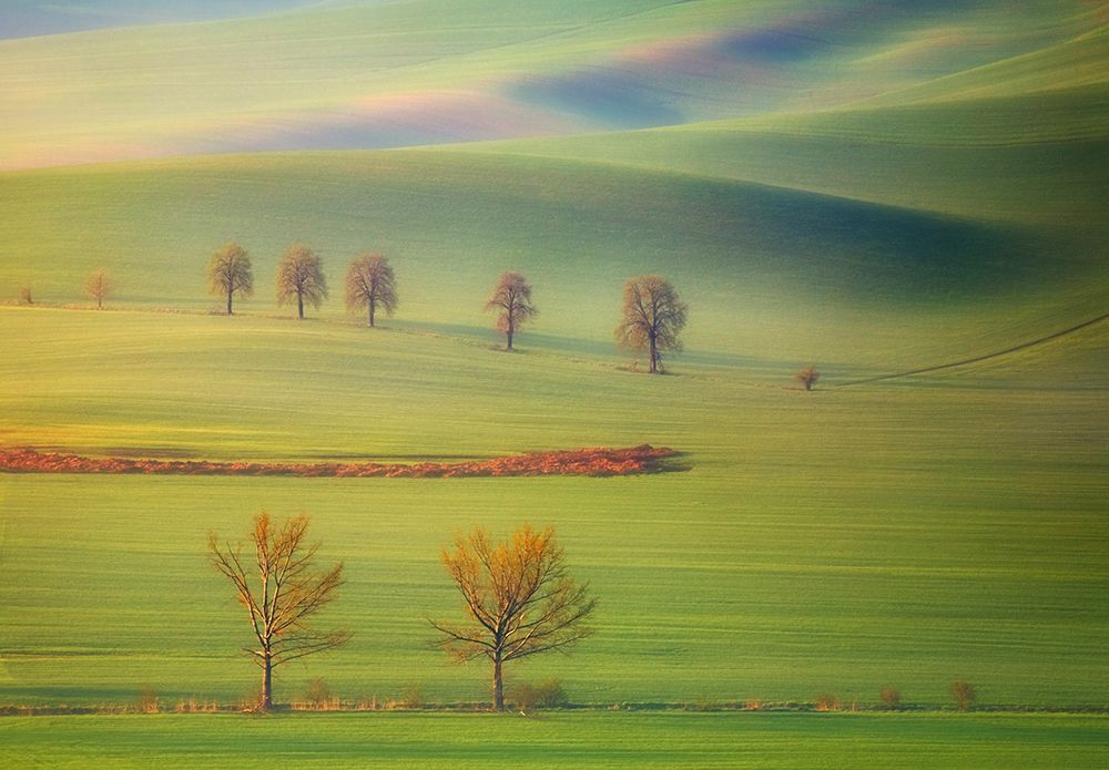 Fields art print by Krzysztof Browko for $57.95 CAD