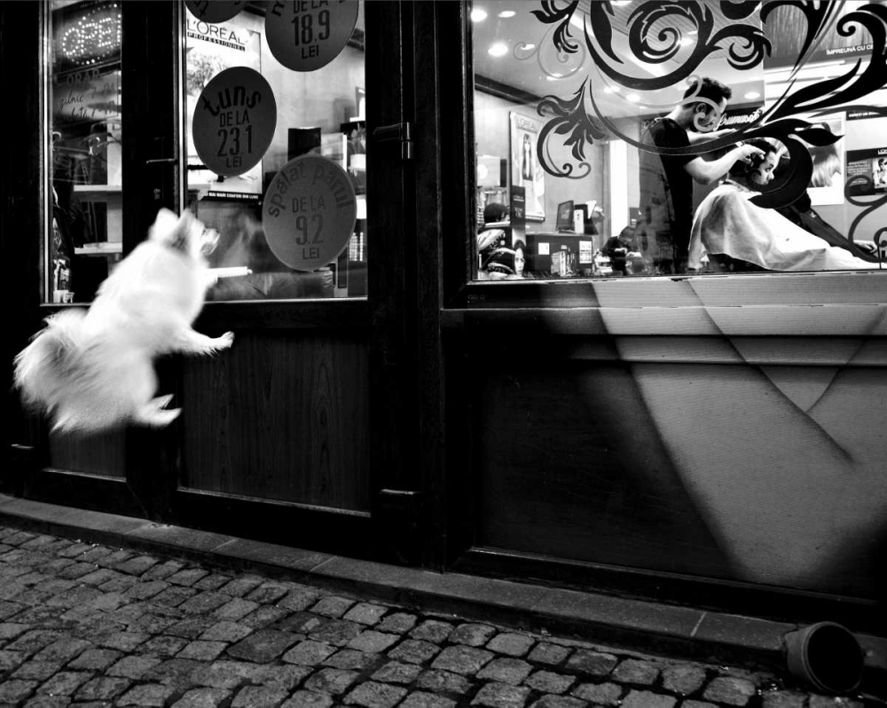Last Customer art print by Mirela Momanu for $57.95 CAD