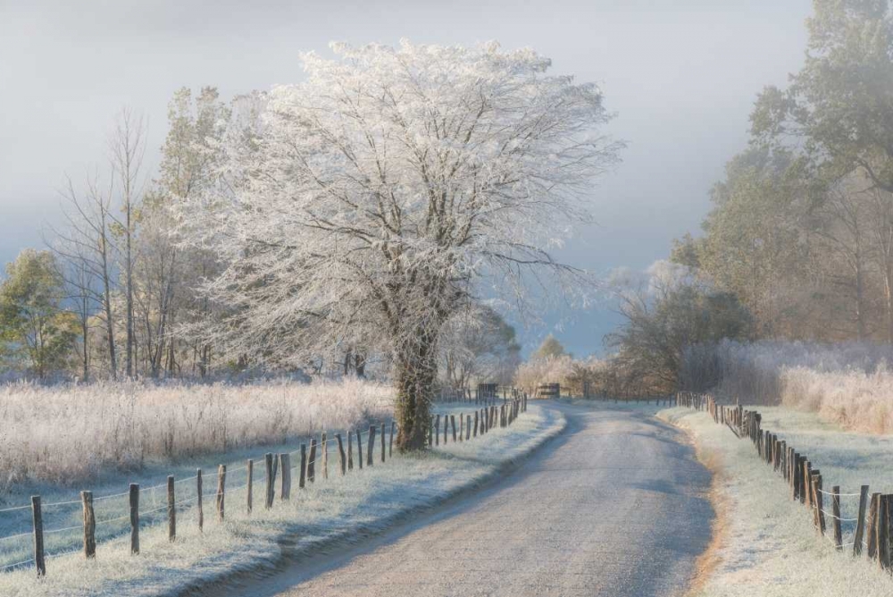 A Frosty Morning art print by Chris Moore for $57.95 CAD
